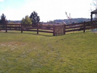 Split rail wood fence in a farm lot