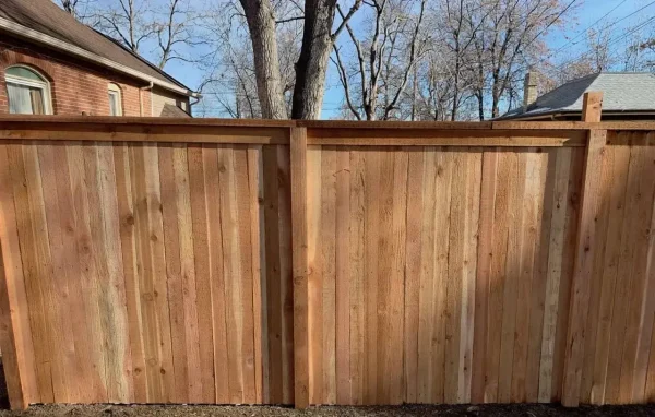 New wooden privacy fence with vertical boards and horizontal rails running along a residential yard, blue sky above, leafless trees in the background.