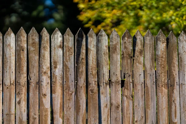 Evaluating Your Neighborhood: Local Trends and Requirements
